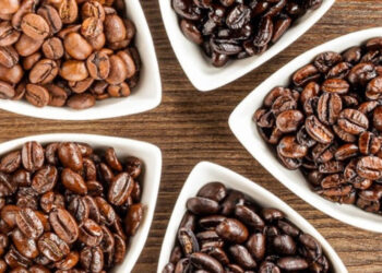 Exploring the Daring Flavors of Darkish vs. Gentle Espresso – Contemporary Roasted Espresso