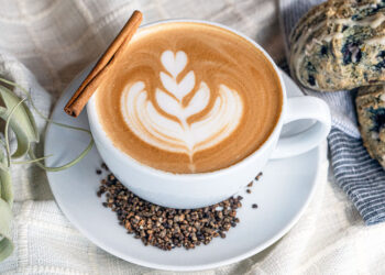 Winter and Spring 2024 Releases