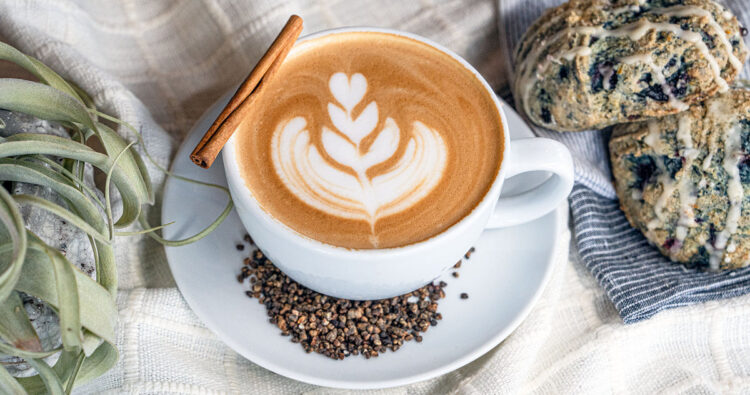 Winter and Spring 2024 Releases