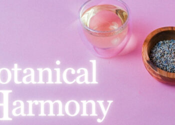 A Pure Strategy to Complete Well being – Recent Roasted Espresso