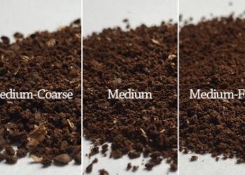 The Greatest Solution to Grind Espresso Beans