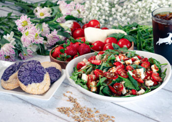 Solar Drenched Seasonal Specials Arrive to Brighten Your Day – Kaldi’s Espresso