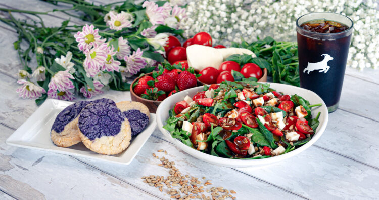 Solar Drenched Seasonal Specials Arrive to Brighten Your Day – Kaldi’s Espresso