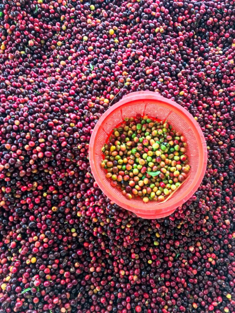 The Value of High quality – Christopher Feran