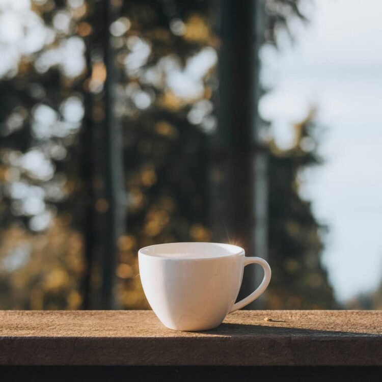 Offline café. Offline espresso? – Mount Hagen