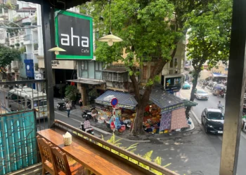 Southeast Asian Flavors Take Heart Stage This Summer season: Half Two