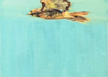 Notes from the Roastery – DOMA Espresso Roasting Firm