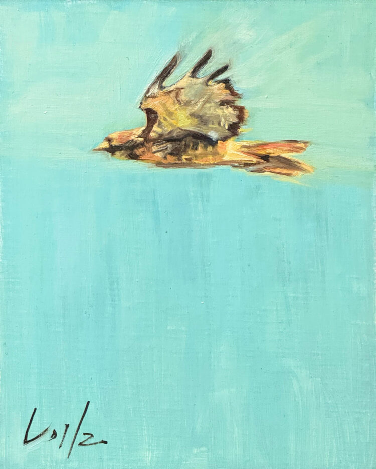 Notes from the Roastery – DOMA Espresso Roasting Firm