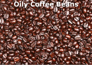 Oily Espresso Beans – Why Are Espresso Beans Shiny?