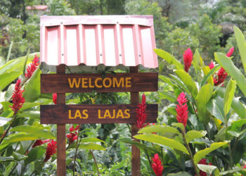 Las Lajas Lima Kaffee bei – 19grams