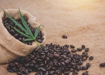 How Terpenes Outline Espresso and Hashish Experiences
