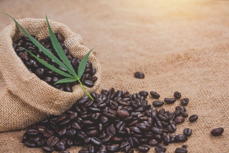 How Terpenes Outline Espresso and Hashish Experiences