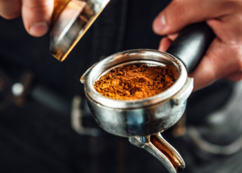 The best way to Be a Barista Grasp In No Time