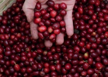 Espresso by girls, for ladies. – DC Specialty Espresso Roasters