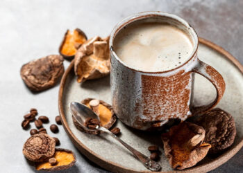 Der Mushroom Kaffee – 19grams
