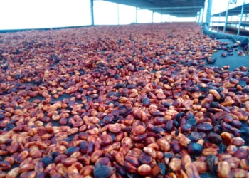 Espresso Processing | Honey… What is the distinction