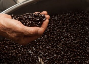 The 6 Finest Dwelling Espresso Roasters Australia (2024)