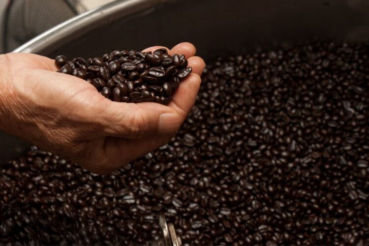 The 6 Finest Dwelling Espresso Roasters Australia (2024)