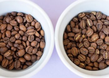 Do darker roasts include extra caffeine?