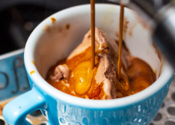 Learn how to Make an Affogato