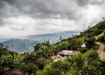 March Subscription Espresso: Consacá | 5 Elephant.