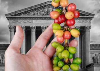 On the Current Kona Espresso Lawsuit Ruling – Contemporary Roasted Espresso