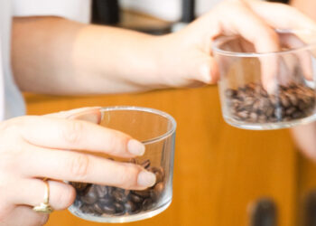 Arabica, Robusta, Liberica und Ich