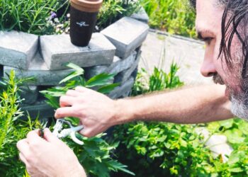 Backyard. Water. Espresso grounds. – Mount Hagen