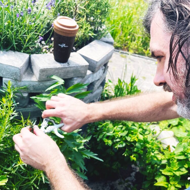 Backyard. Water. Espresso grounds. – Mount Hagen