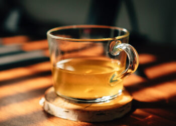 A journey of discovery right into a world of surprising altern – 19grams