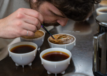 Roaster’s Alternative Espresso Subscription | Kaldi’s Espresso Weblog