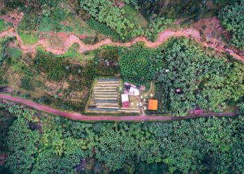 February Subscription Espresso: Vunga | 5 Elephant.