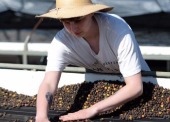 Brazil – New Methods In Processing