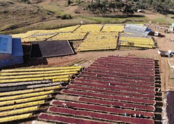 January Subscription Espresso: Uraga (Pure)