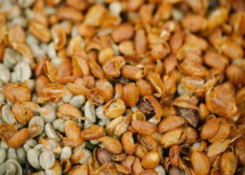 What’s Espresso Processing? – Thieves Espresso