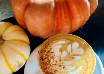 Don’t Canine on the PSL! – DOMA Espresso Roasting Firm