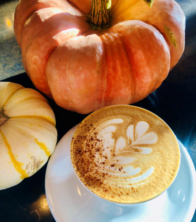 Don’t Canine on the PSL! – DOMA Espresso Roasting Firm