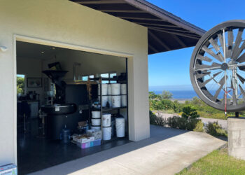 DOMA worker turns into licensed Q-grader – DOMA Espresso Roasting Firm