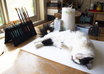 Artist Characteristic – DOMA Espresso Roasting Firm