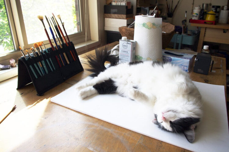 Artist Characteristic – DOMA Espresso Roasting Firm