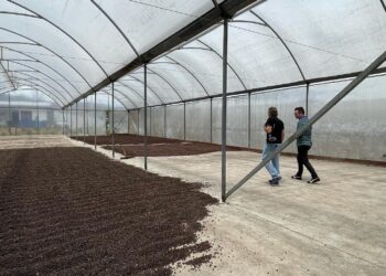 Santuario Mission & Standards Espresso – A Colombian espresso sanctuary. – Thieves Espresso