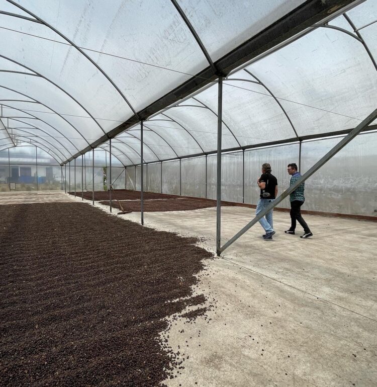 Santuario Mission & Standards Espresso – A Colombian espresso sanctuary. – Thieves Espresso