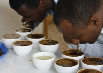 Espresso Taste Terminology – A Espresso Style Dictionary for the Noob