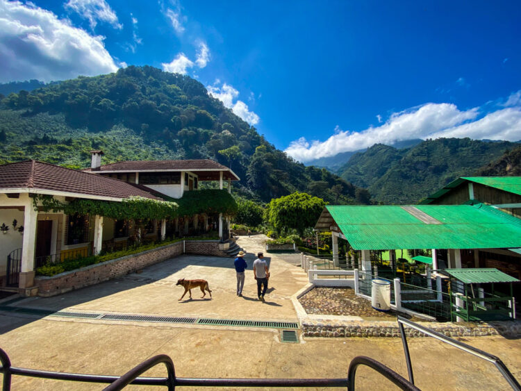 DOMA’s Origin Journey to Guatemala – DOMA Espresso Roasting Firm