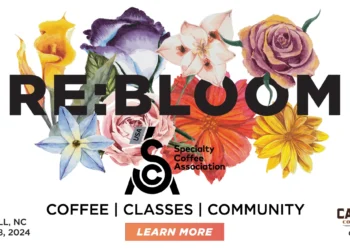 RE:BLOOM Blossoms in Chapel Hill, N.C., This Week