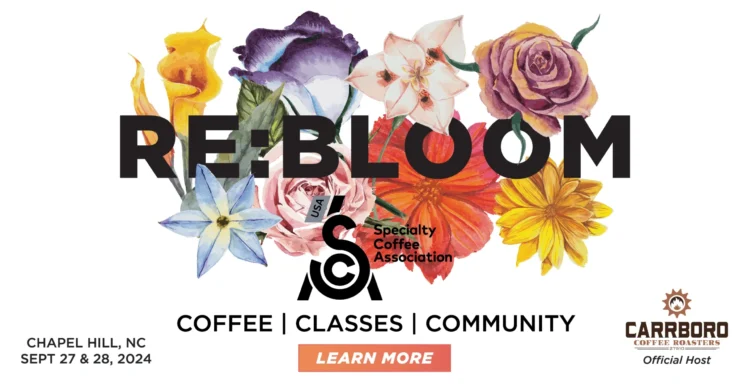 RE:BLOOM Blossoms in Chapel Hill, N.C., This Week