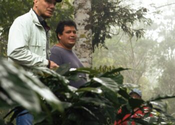 How truthful is truthful commerce? Half 1.