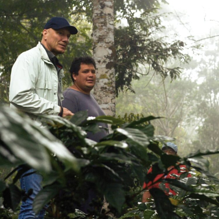 How truthful is truthful commerce? Half 1.