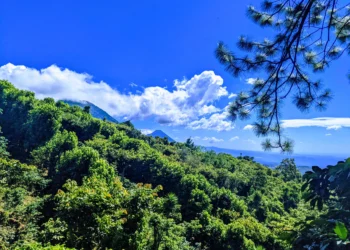 A Chat With Café Juayúa’s Linda Gonzalez, Half Two