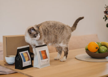 Standards Espresso Roasters – Brew espresso at house with Craig! – Thieves Espresso